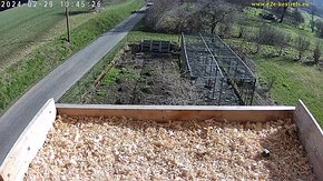 20 video 29 Feb 10:46 nest inspection