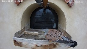 Hik-1-20240115-100532