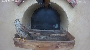 Hik-1-20240117-111350