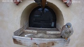 Hik-1-20240122-133200