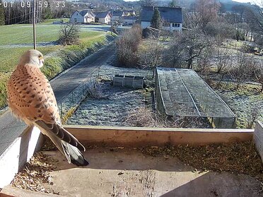 January-February 2025