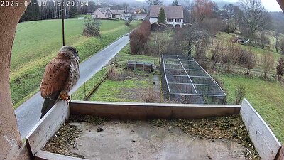 20250109_1736463305477 9 January 2025