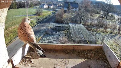 20250201-1738413428263-C100_Pixel7a-JEB 1 February 2025