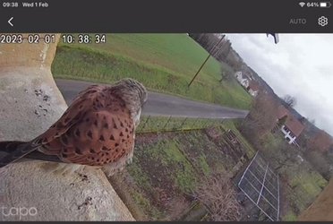 February 2023 Click on the image to show the image or video full size. Then, if necessary, click again to play the video