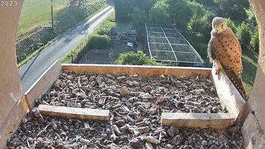 July 2023 Click on the image to show the image or video full size. Then, if necessary, click again to play the video