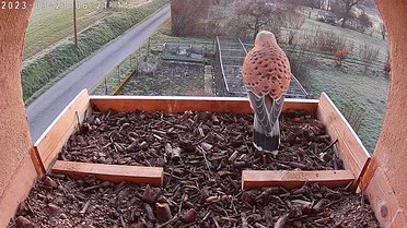 March 2023 Click on the image to show the image or video full size. Then, if necessary, click again to play the video